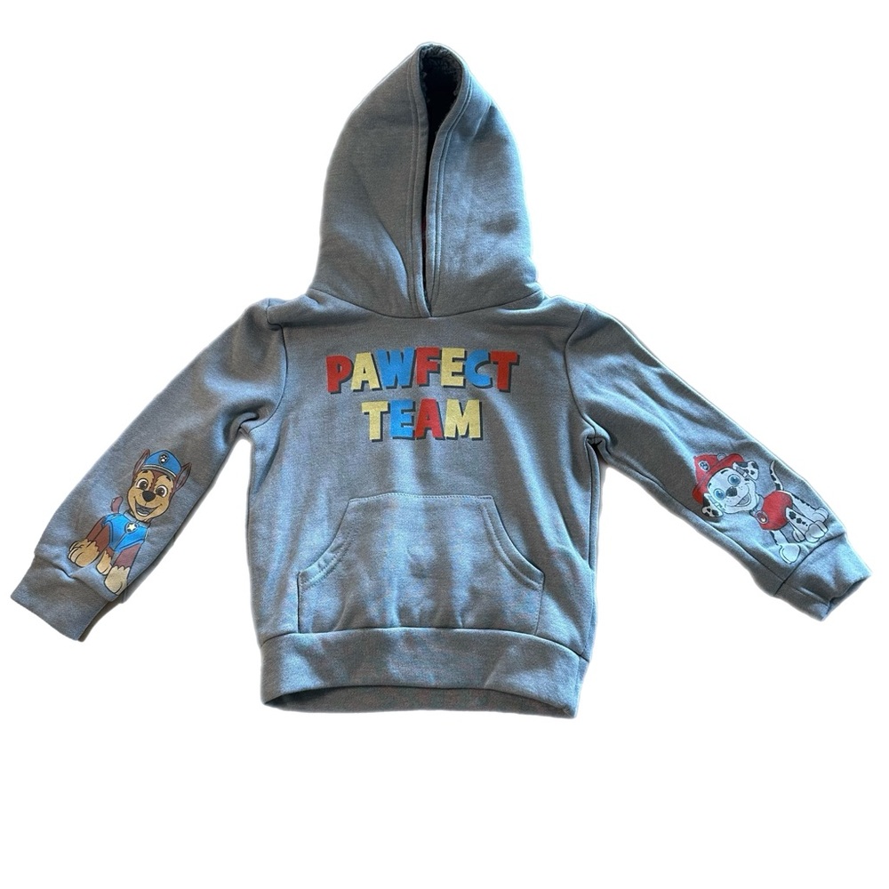 Paw Patrol Gray Hoodie with Colorful Pawfect Team Design